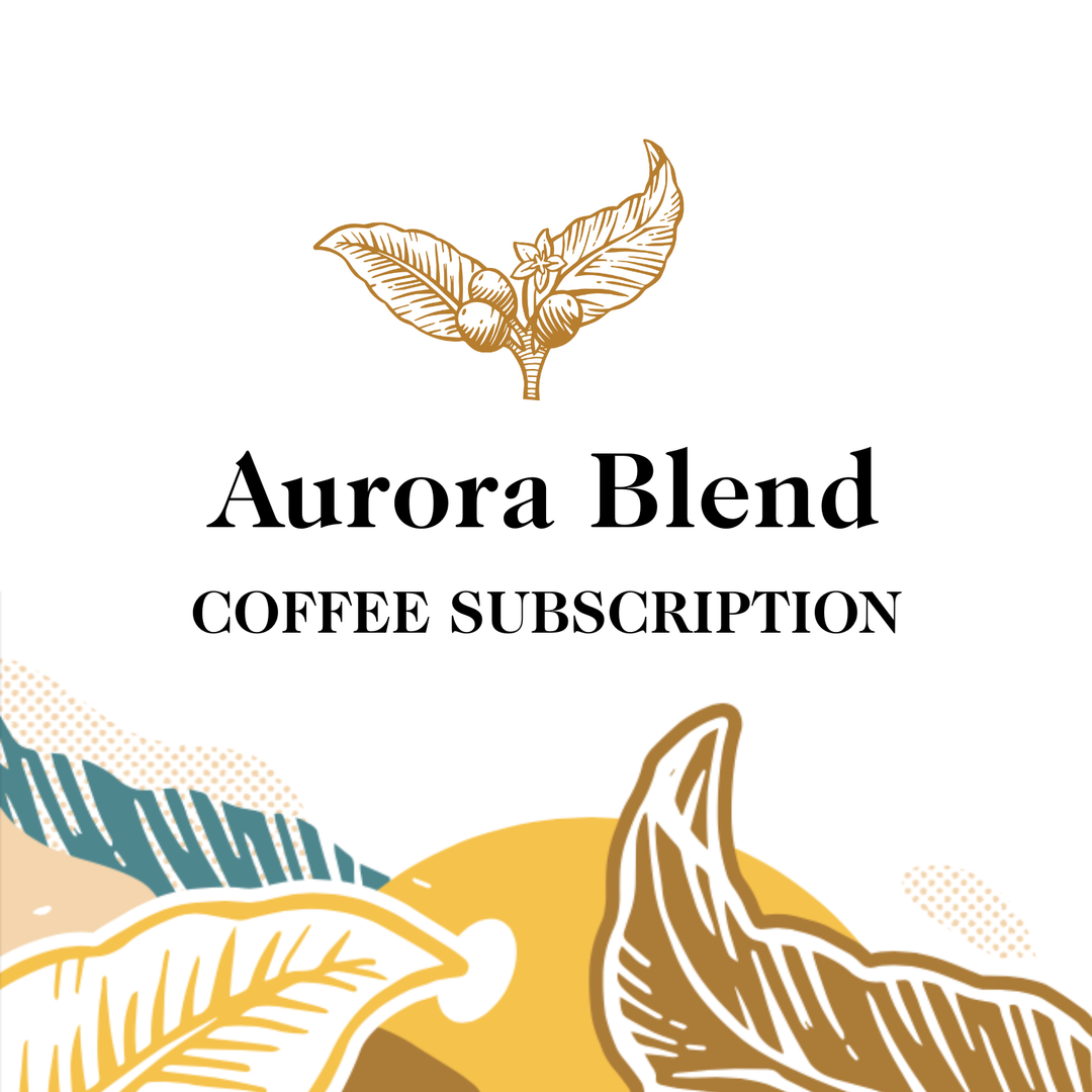 Transcend Coffee's Aurora Blend coffee subscription with stylized leaf designs on a white background.