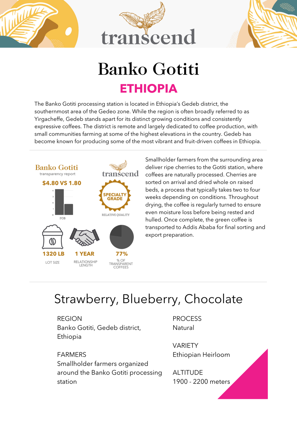 Transcend coffee info sheet for Banko Gottiti Ethiopia with product details.