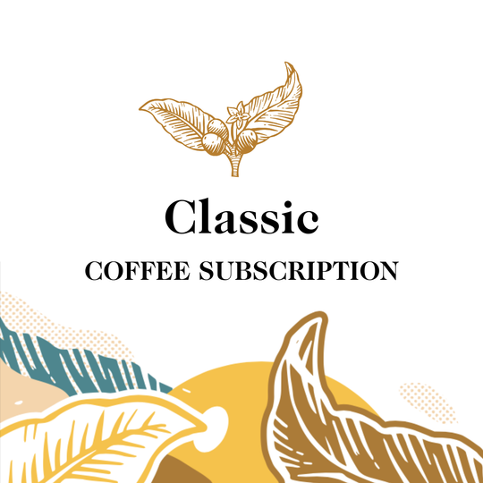 Transcend Coffee's  Classic Coffee subscription with coffee bean design on a white background