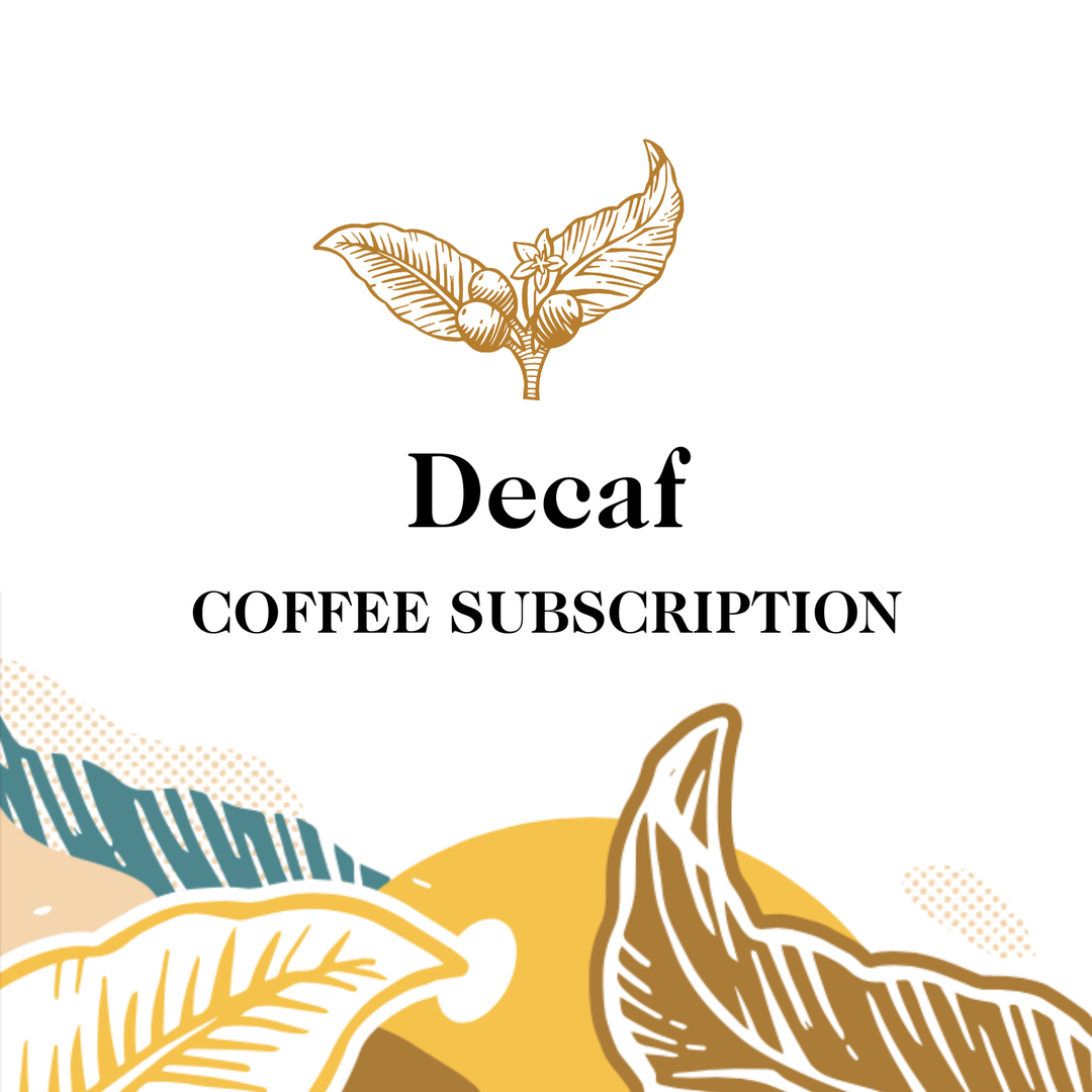 Decaf coffee subscription with coffee bean illustrations on a white background