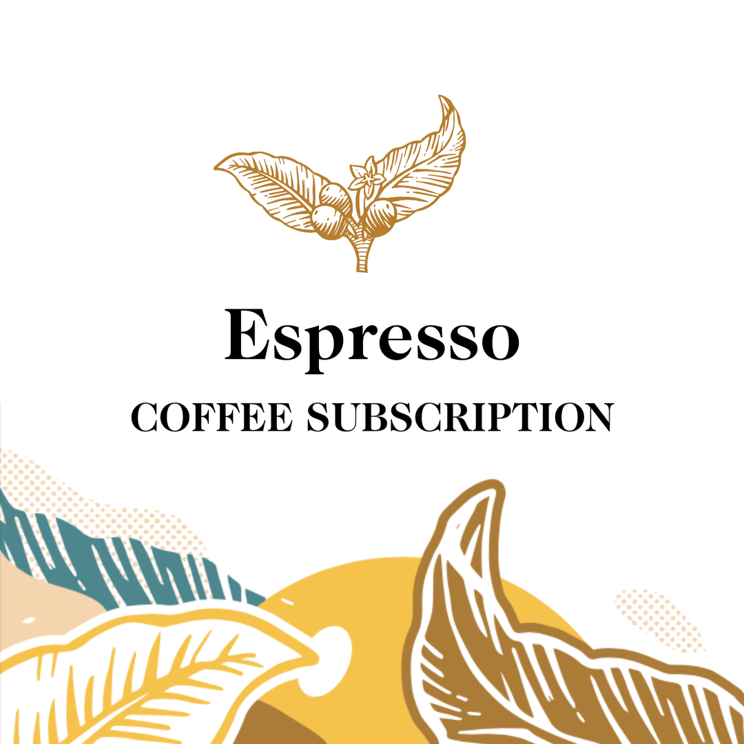 Transcend Coffee's Espresso coffee subscription with coffee bean illustrations on a white background