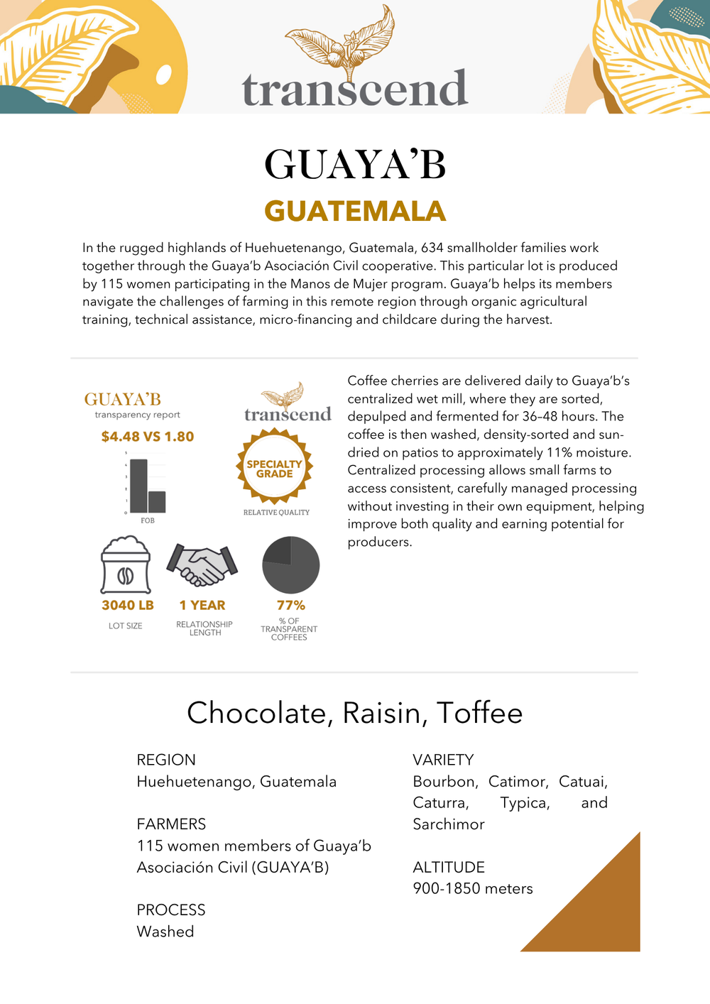 Guaya'b - Raw Green Coffee - Guatemala
