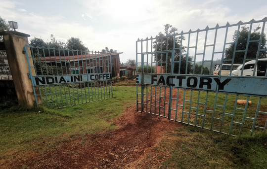 Entrance gates at Ndiaini Factory in Nyeri, Kenya