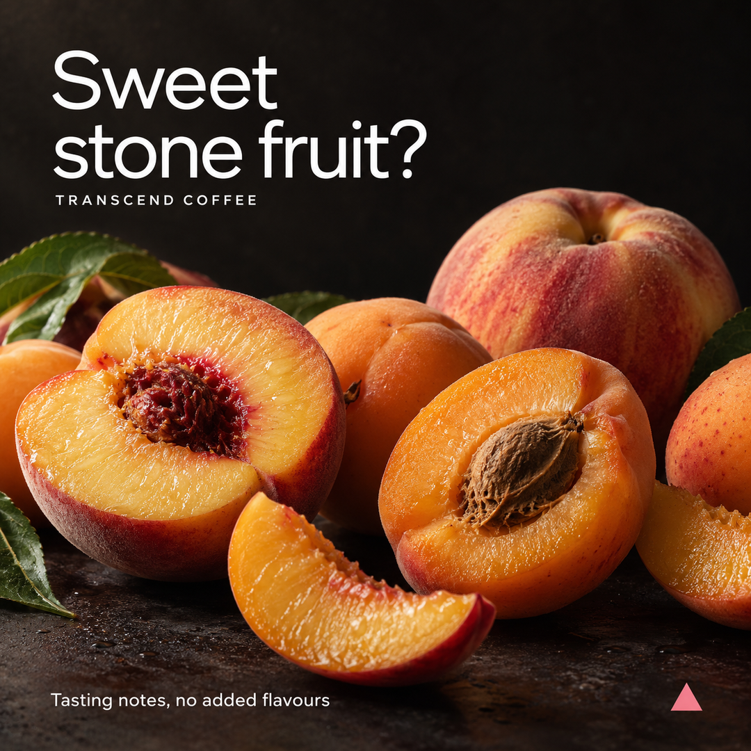 Fresh stone fruit peaches, including whole fruits and halved pieces showing juicy orange-yellow flesh, arranged on a dark rustic surface with green leaves. Large text at the top reads 'Sweet stone fruit?' and 'TRANSCEND COFFEE', with smaller text at the bottom noting 'Tasting notes, no added flavours'.