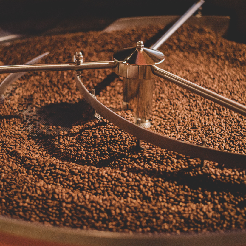 Transcend Coffee Roasted Coffee in Cooling Tray