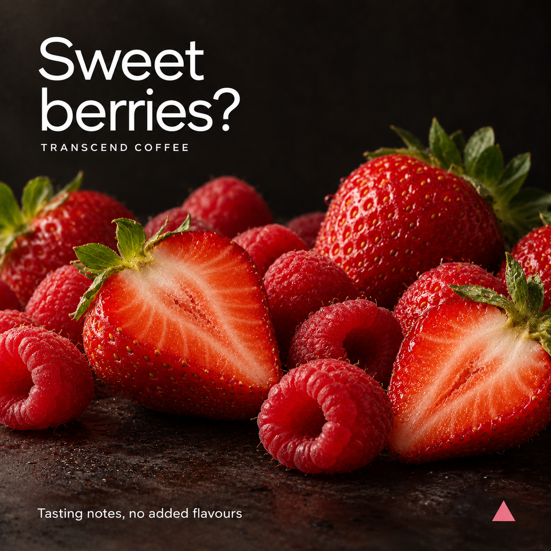 A close-up of fresh strawberries and raspberries on a dark surface with large white text reading 'Sweet berries?' and smaller text 'TRANSCEND COFFEE' and 'Tasting notes, no added flavours'.