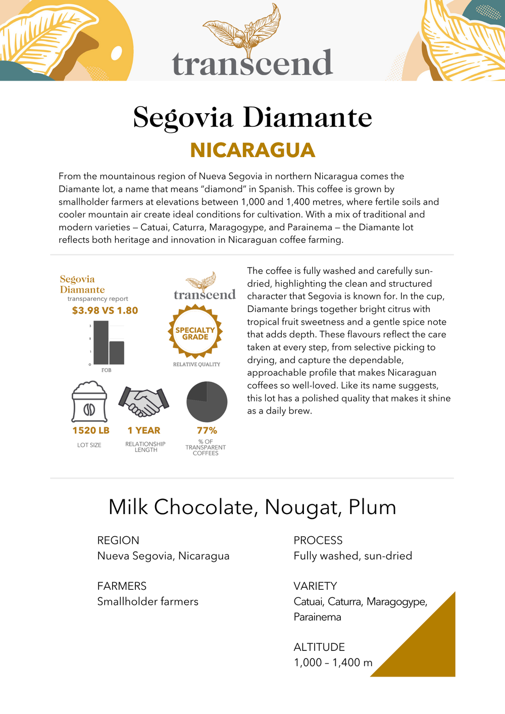 Transcend Segovia Diamante Nicaragua coffee info sheet with product details.