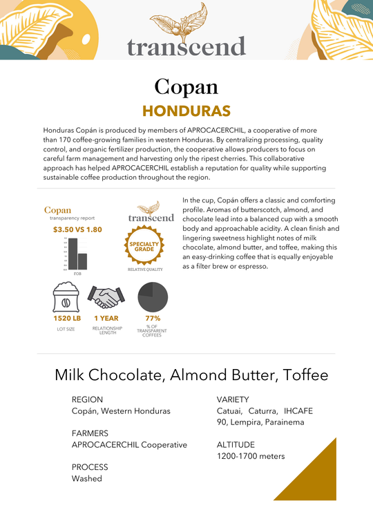 Info sheet for Transcend Coffee Copan
