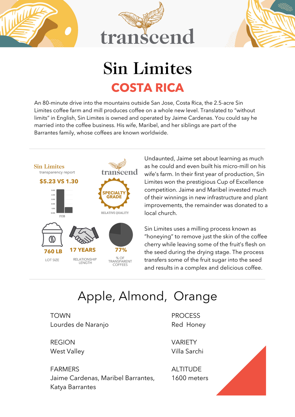 Transcend Coffee Sin Limites Info Sheet