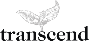 Transcend logo Small
