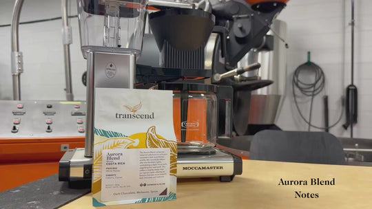 Aurora Blend Tasting Notes Video