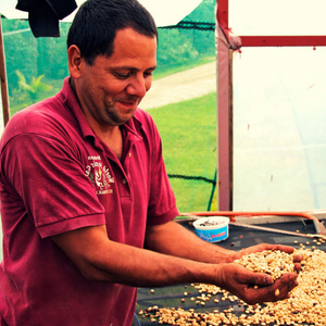 Costa Rican Coffee Producer Jaime Cardenas